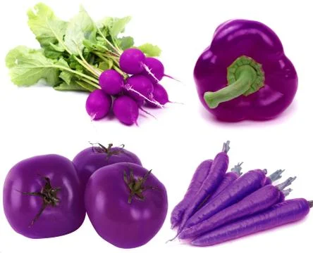 Purple vegetable Stock Photos