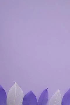 Purple vertical background with copy space with skeletons of dried leaves i.. Foto stock