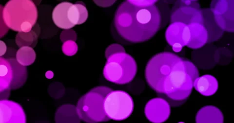 Purple violet pink abstract bubbles particles bokeh on black background Stock Footage 289556041