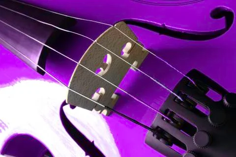 Purple Violin 스톡 사진