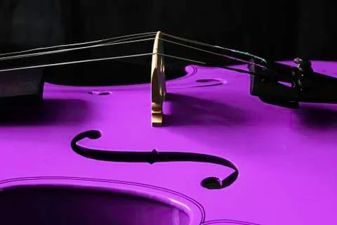 Purple Violin 写真素材