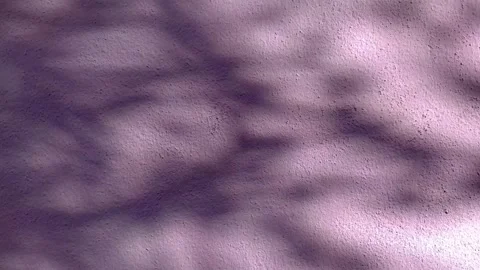 The purple wall shadows leaves moving in the wind. Stock Footage 147316434