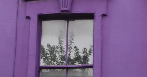 Purple wall window reflecting a tree swaying in the wind. Stock Footage 319793254