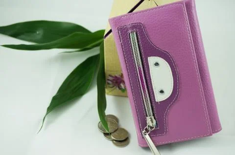 The purple wallet Stock Photos