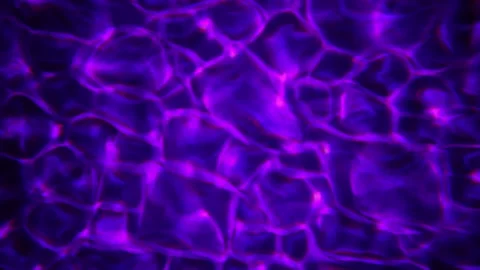 Purple water flow stream Stock Footage 141141235