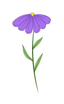 Purple wild flower Stock Illustration