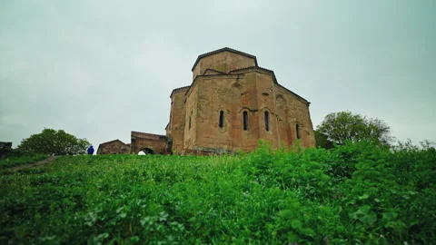 Purple wildflowers below the Jvari Monastery ridge Stock Footage 347140926