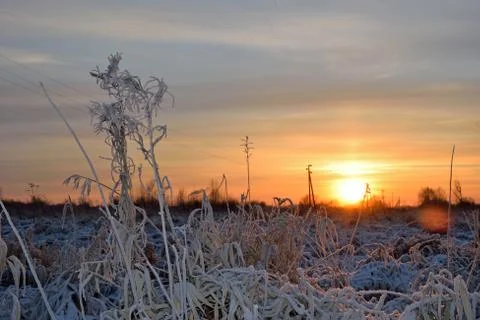 Purple winter sunset Stock Photos