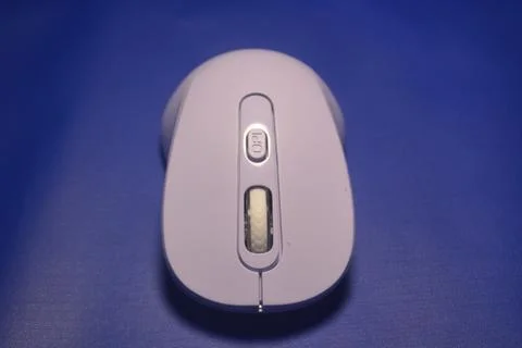 A purple wireless computer mouse isolated on blue background Stock Photos