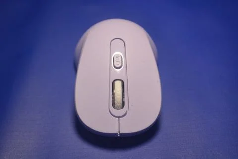 A purple wireless computer mouse isolated on blue background Stock Photos