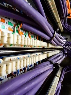 Purple wires running into a patching array - IT technology Stock Photos