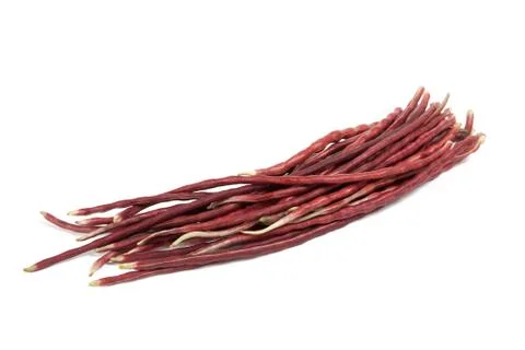 Purple yardlong bean Stock Photos
