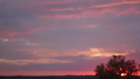 Purple/Pink Sunset With Tree Video stock 154659720