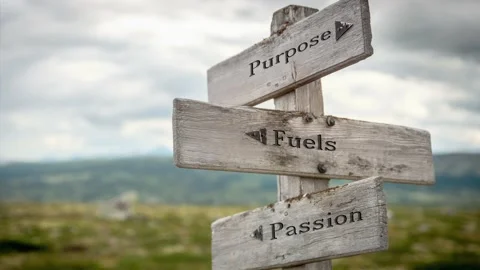 Purpose fuels passion text engraved on old wooden signpost outdoors in nature Stock Footage 170629693