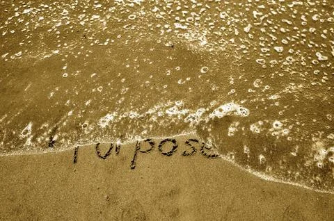 Purpose in the sand Stock Photos