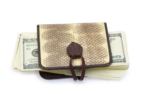Purse with dollars Foto stock