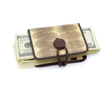 Purse with dollars Stock Photos
