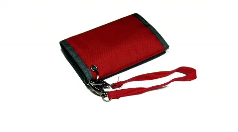 Purse Stock Footage 523269