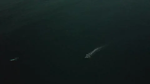 Pursuing the Boats 스톡 동영상 146692878