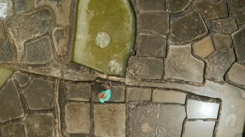 Pursuit after the waves Stock Footage 111077227