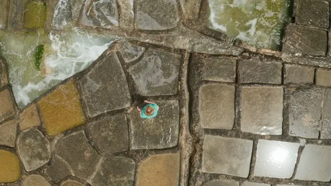 Pursuit after the waves Stock Footage 111079561