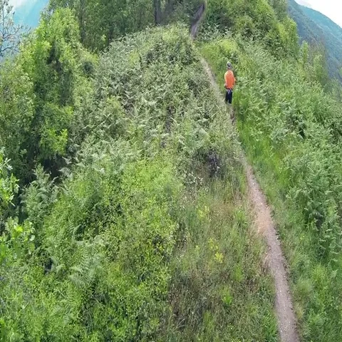 The pursuit of a runner Stock Footage 69467410