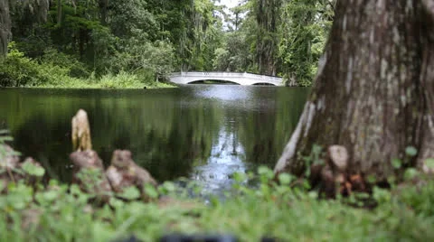 Push In On Bridge Stock-Footage 26602193