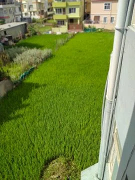 Push button of on off Switch. 库存照片