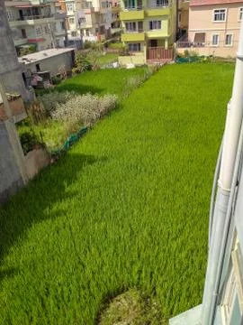 Push button of on off Switch. Stock Photos