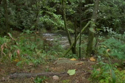 Push to creek edge Stockbeeldmateriaal 527580