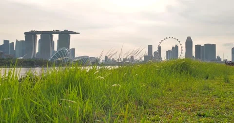 Push In day view of Gardens and Flying wheel of Singapore Stock Footage 157541620