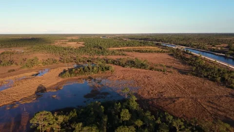 Push in drone shot of the John C. and Mariana Jones Hungryland Wildlife and Vidéo 333040316