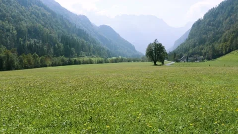Push In Drone Shot of Logar Valley. Beautiful Green, Yellow Flower Field. Stock-Footage 210773220