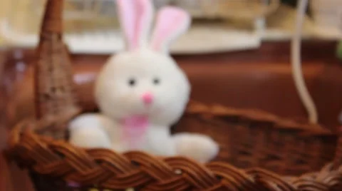 Push in Easter Bunny Stuffed Animal in Basket Stock Footage 63012582
