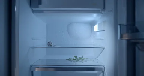 Push In to Empty Open Refrigerator, Poverty and Food Shortage Concept Stock-Footage 347015830