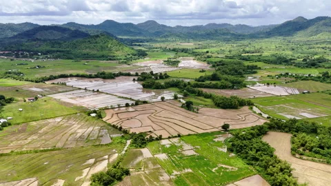 Push-in establishing shot over rice fields in Poblacion, Taytay, Palawan, Stock Footage 336685994