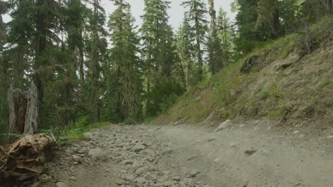 Push forward on rocky four wheel drive trail in Washington forest in PNW Vidéo 247873843