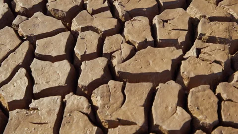 Push forward shot of drying sludge in the savanna Video stock 278934031