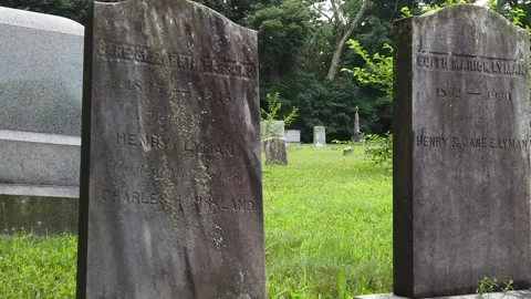 Push Into Headstone in Old New England Cemetery 库存影片 139899536