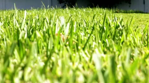 Push Lawn Mower Slow Motion Video stock 11464168