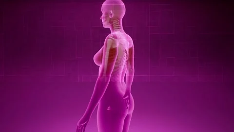 A Push out away from pink 3D female model spinning as X-ray scans chest Stock Footage 155221601