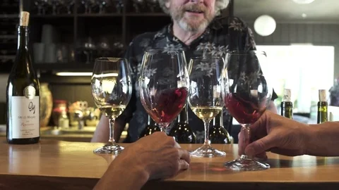 Push-out shot of a couple tasting wine in a bar 動画素材 76533708