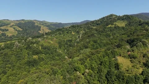 Push in over lush forested mountain slopes in Cherni Osam Bulgaria Stock Footage 343915669