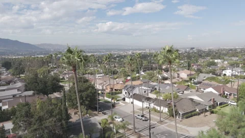 Push past palm trees Glendale 库存影片 317918036