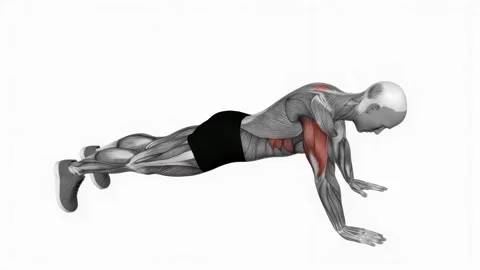 Push up plus fitness exercise workout animation male muscle highlight 4K Stockbeeldmateriaal 243986313