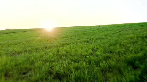 Push in Shot of Beautifully Warm Lit Meadow, Grass, Field With Sunlights. Видео 249753532