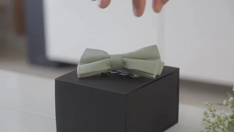Push In Shot on Hugo Boss Gift Box with Sage Green Bow Tie Stock Footage 334802895
