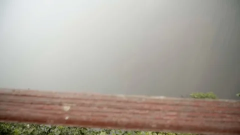 Push in shot over the edge as birds fly down in a cave that's covered by fog Stock Footage 100269403