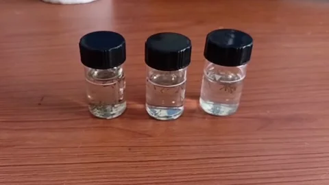 Push In Shot On Sample Cells With Mosquito Larvae 動画素材 335473245