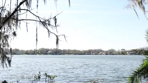 Push in shot through Trees Video stock 238039408